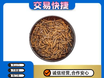 莆田回收散虫草